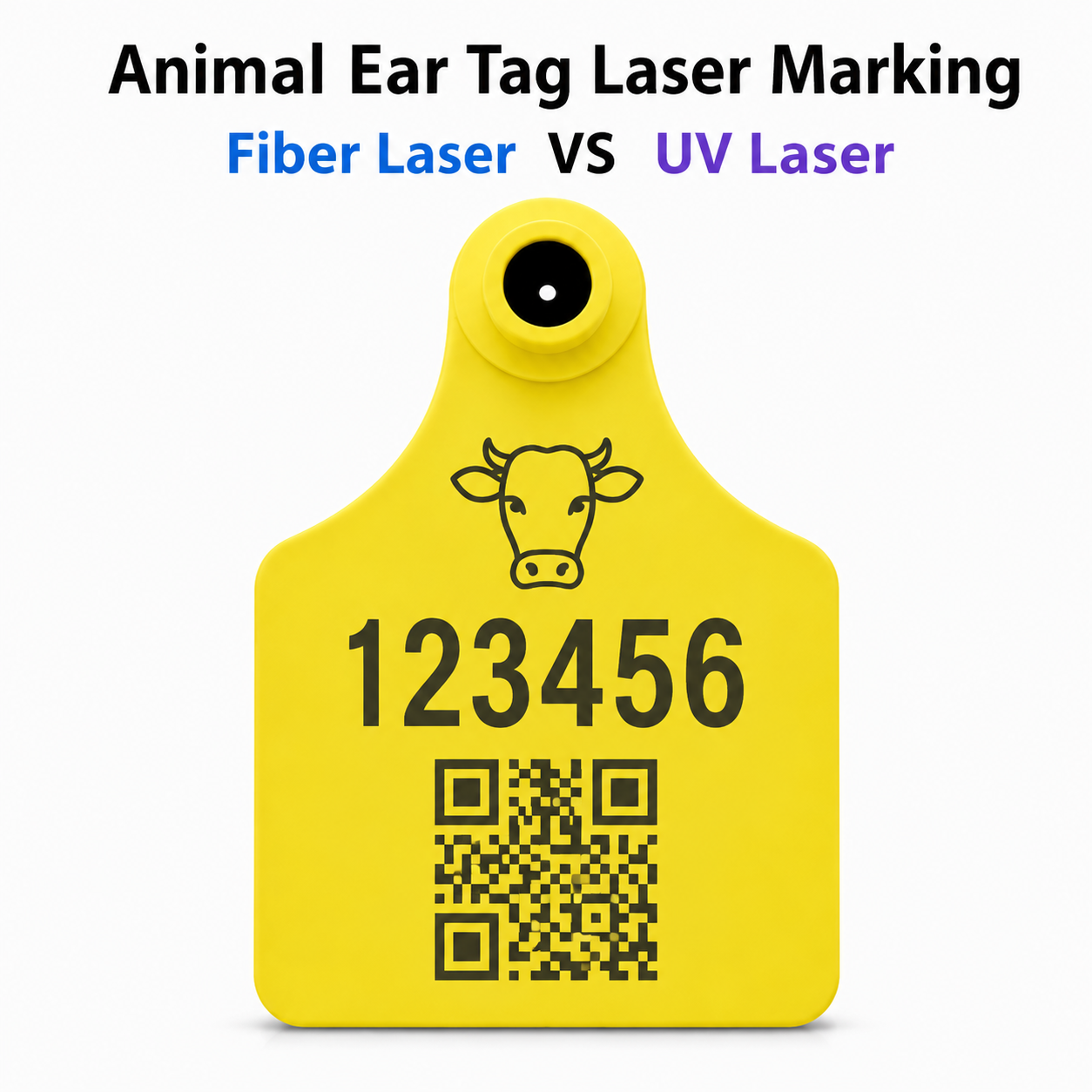 cnc-engraving-machine.png